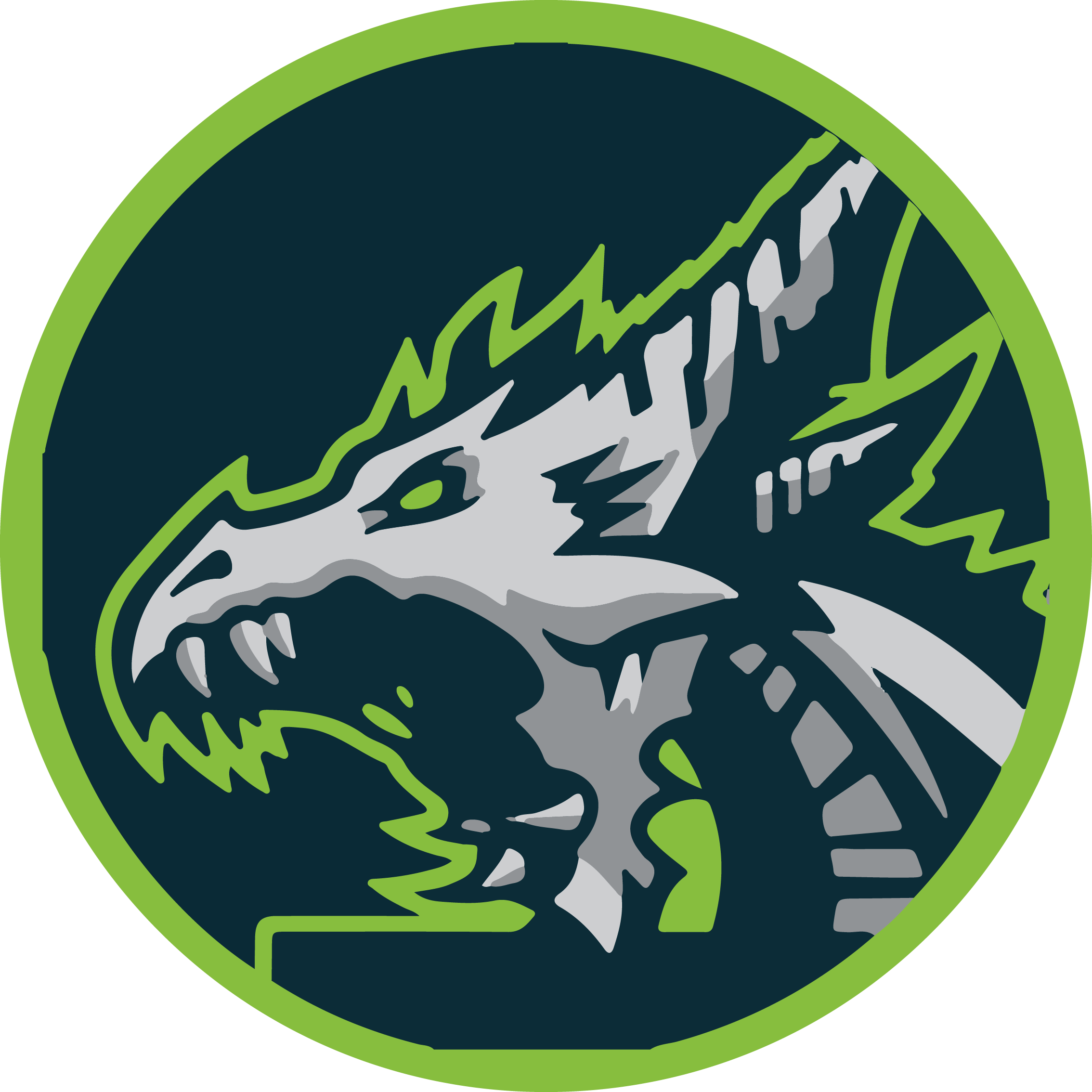 Denver Dragons